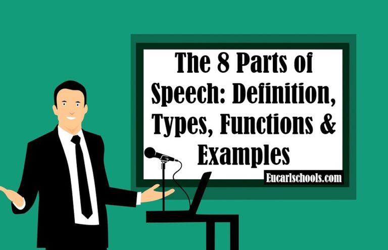 The 8 Parts of Speech: Definition, Types, Functions & Examples