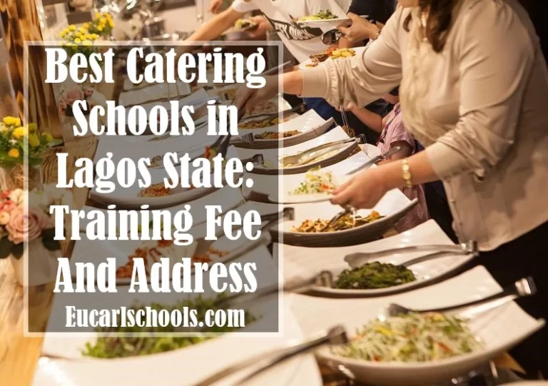 Top 20 Best Catering Schools in Lagos State
