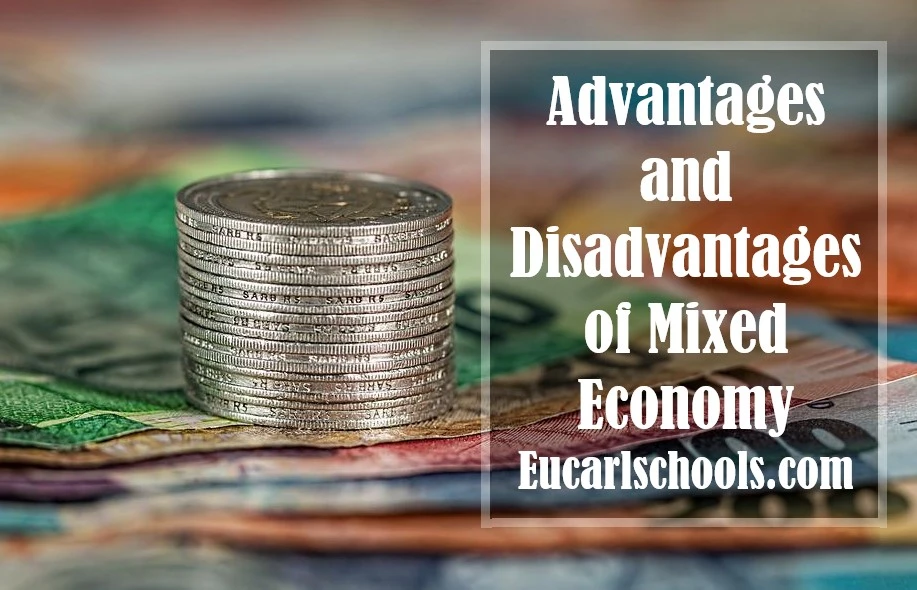 5 Advantages and Disadvantages of Mixed Economy
