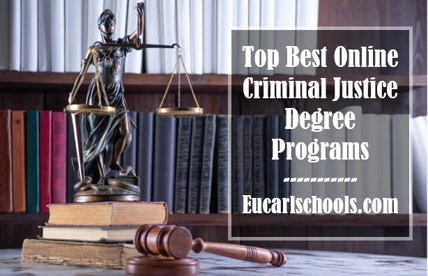Top Best Online Criminal Justice Degree Programs
