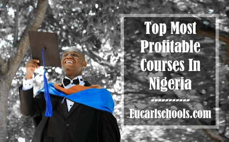 Top 10 Most Profitable Courses In Nigeria