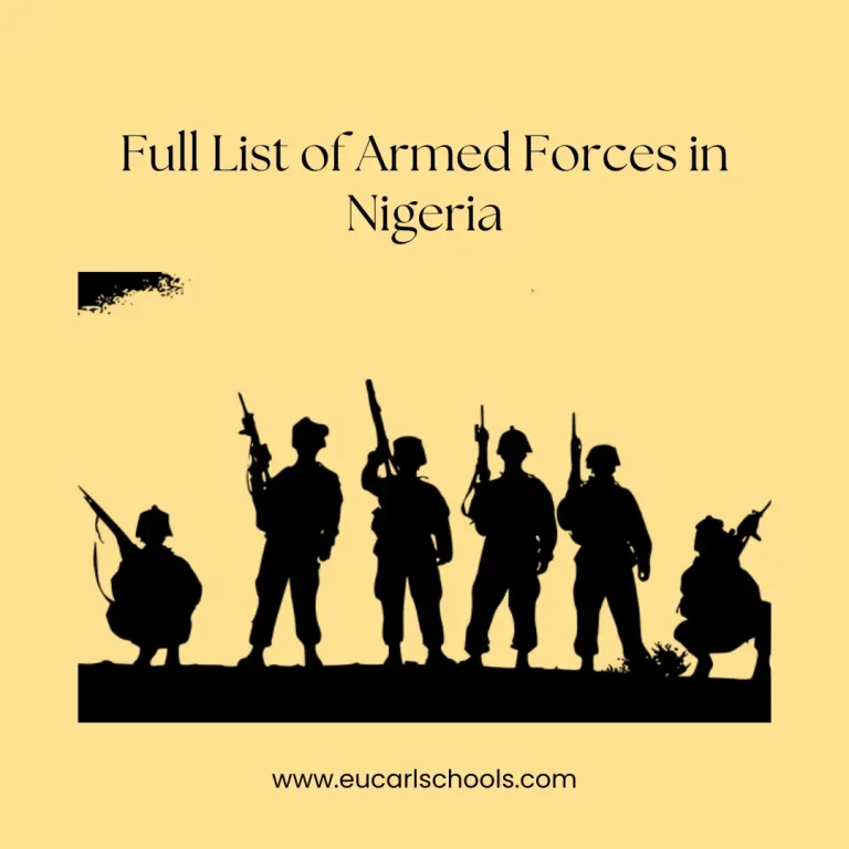 Full List of Armed Forces in Nigeria And Roles: Everything You Should Know